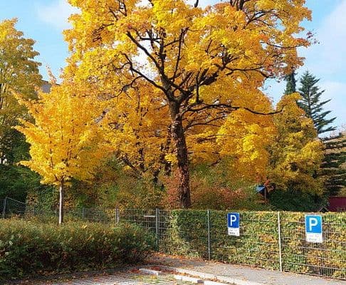 Prodej bytu 4+1 90 m², Ismaning, Bavorsko Prodej bytu 4+1 90 m², Ismaning, Bavorsko