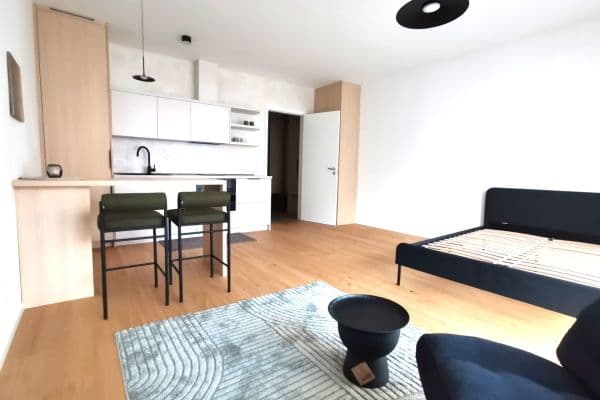 Pronájem bytu 1+kk 37 m², Bratislavská, Brno Pronájem bytu 1+kk 37 m², Bratislavská, Brno