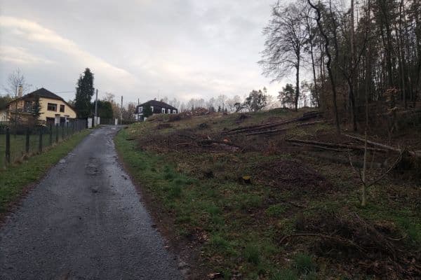 Prodej pozemku 3.052 m², Buš Prodej pozemku 3.052 m², Buš