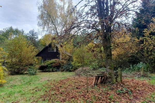 Prodej chaty, chalupy 46 m², pozemek 900 m², Bratřínov Prodej chaty, chalupy 46 m², pozemek 900 m², Bratřínov