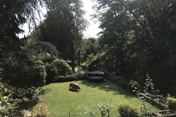 Pronájem bytu 4+1 140 m², Parkstraße 99A, Wiesbaden, Hessen Pronájem bytu 4+1 140 m², Parkstraße 99A, Wiesbaden, Hessen