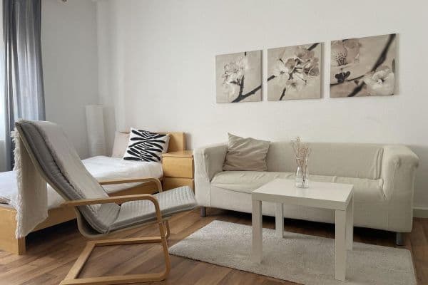 Pronájem bytu 1+1 23 m², Mannheim Pronájem bytu 1+1 23 m², Mannheim