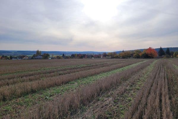 Prodej pozemku 300.000 m², Westböhmen 1, Tirschenreuth Prodej pozemku 300.000 m², Westböhmen 1, Tirschenreuth