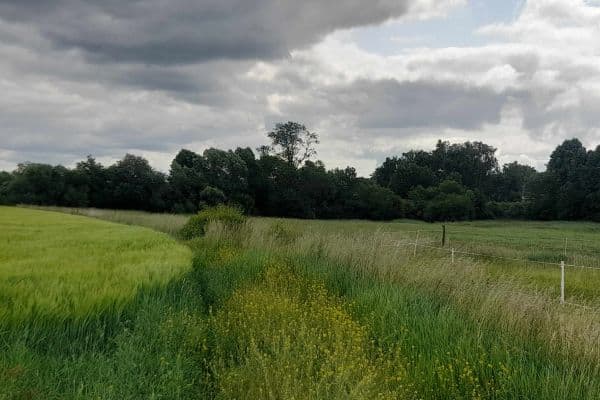 Prodej pozemku 2.900 m², Čachovice Prodej pozemku 2.900 m², Čachovice