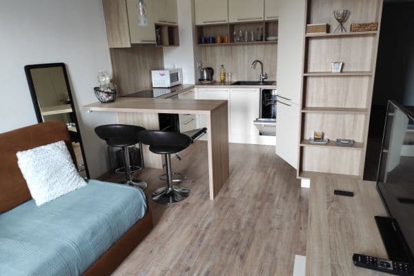 Pronájem bytu 2+1 38 m², Prievozská, Ružinov Pronájem bytu 2+1 38 m², Prievozská, Ružinov