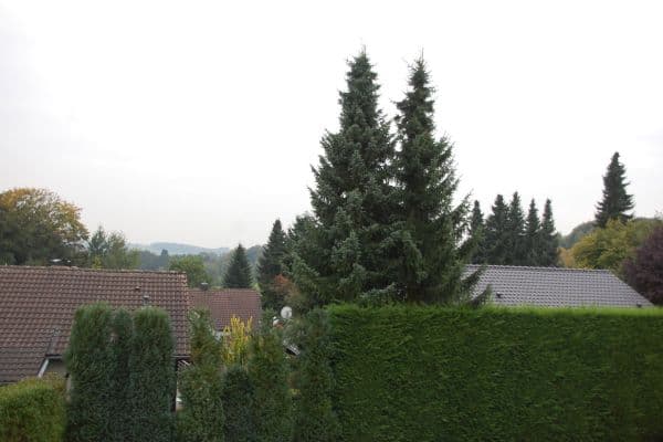 Pronájem bytu 1+1 44 m², Franziskanerstr. 6, Overath Pronájem bytu 1+1 44 m², Franziskanerstr. 6, Overath