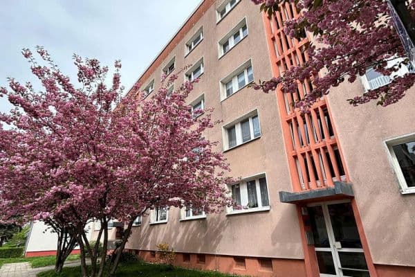 Pronájem bytu 1+1 25 m², Linzer Straße 41, Dessau-Roßlau, Sasko-Anhaltsko Pronájem bytu 1+1 25 m², Linzer Straße 41, Dessau-Roßlau, Sasko-Anhaltsko