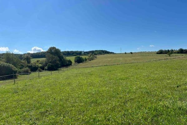 Prodej pozemku 1.000 m², Líšnice, Středočeský kraj Prodej pozemku 1.000 m², Líšnice, Středočeský kraj
