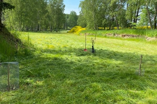 Prodej pozemku Prodej pozemku