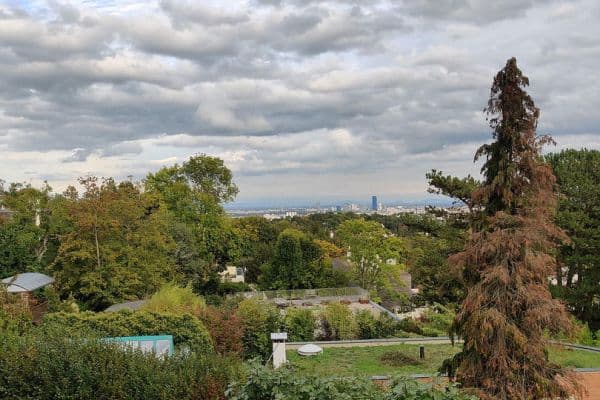 Prodej bytu 3+1 77 m², Pötzleinsdorfer Straße, Wien, Wien Prodej bytu 3+1 77 m², Pötzleinsdorfer Straße, Wien, Wien