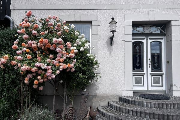 Prodej domu 345 m², pozemek 7.985 m², Wendeburg Prodej domu 345 m², pozemek 7.985 m², Wendeburg