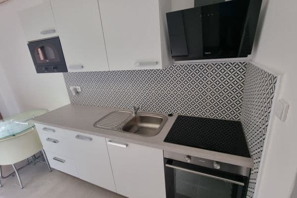 Pronájem bytu 1+kk 47 m², Skorkovského, Brno Pronájem bytu 1+kk 47 m², Skorkovského, Brno