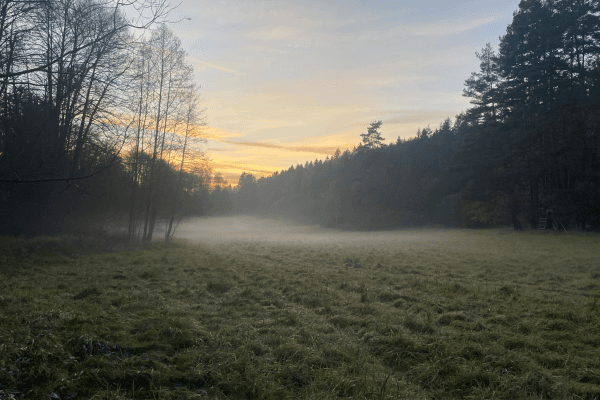 Prodej pozemku Prodej pozemku