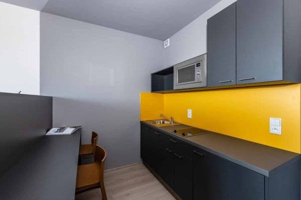 Pronájem bytu 1+kk 27 m², Magisterská,  Pronájem bytu 1+kk 27 m², Magisterská,