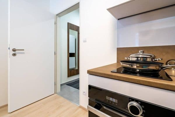 Pronájem bytu 1+kk 27 m², Magisterská, Plzeň, Plzeňský kraj Pronájem bytu 1+kk 27 m², Magisterská, Plzeň, Plzeňský kraj