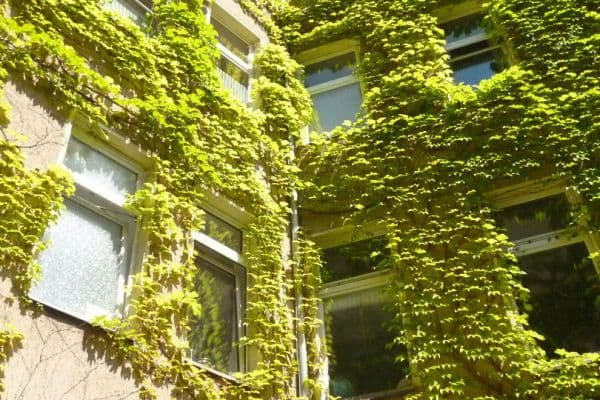 Prodej bytu 2+1 63 m², Berlin, Berlín Prodej bytu 2+1 63 m², Berlin, Berlín