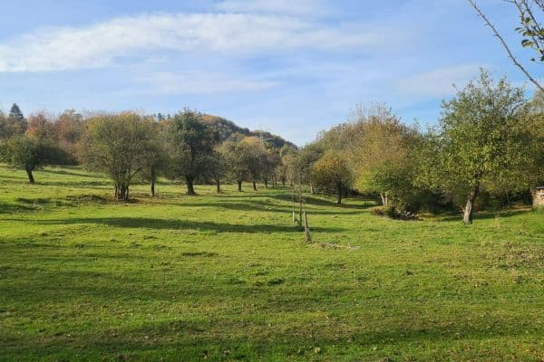 Prodej pozemku 81.050 m², Skorotice Prodej pozemku 81.050 m², Skorotice