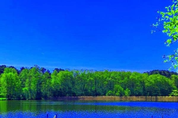 Prodej domu 170 m², pozemek 1.350 m², Berlin, Berlín Prodej domu 170 m², pozemek 1.350 m², Berlin, Berlín