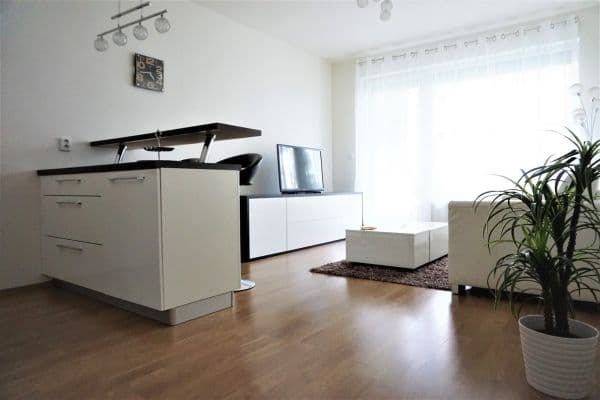 Pronájem bytu 1+kk 30 m², Milotická,  Pronájem bytu 1+kk 30 m², Milotická,