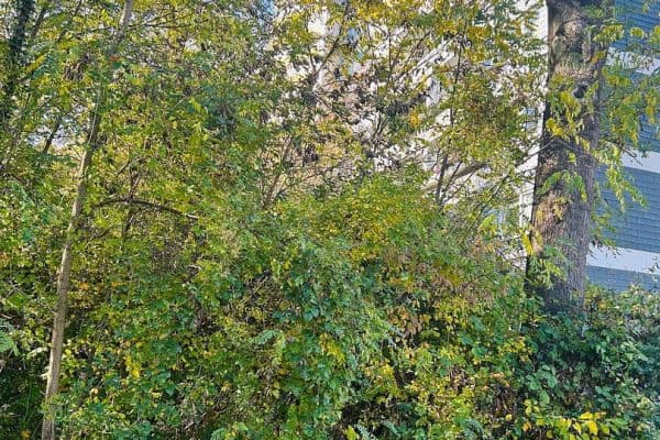 Prodej bytu 3+1 88 m², Frölingstr. 7, Bad Homburg Prodej bytu 3+1 88 m², Frölingstr. 7, Bad Homburg