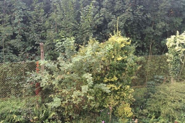 Pronájem bytu 1+1 45 m², Wuppertal Pronájem bytu 1+1 45 m², Wuppertal