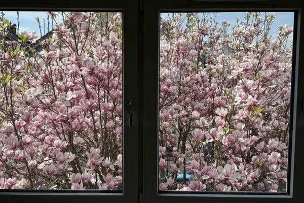 Pronájem bytu 5+1 126 m², Wiesbaden Pronájem bytu 5+1 126 m², Wiesbaden