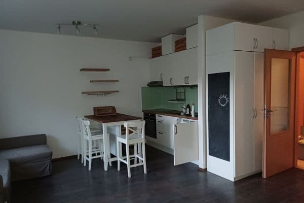 Pronájem bytu 1+kk 38 m², Hvozdecká, Brno Pronájem bytu 1+kk 38 m², Hvozdecká, Brno
