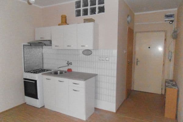 Pronájem bytu 1+1 38 m², Březenecká, Chomutov Pronájem bytu 1+1 38 m², Březenecká, Chomutov