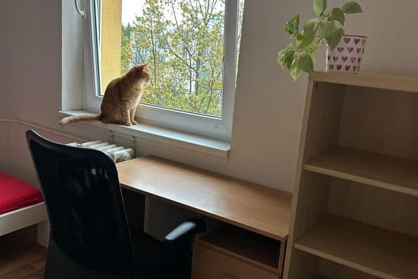 Pronájem bytu 3+kk 80 m², Babákova, Hlavní město Praha Pronájem bytu 3+kk 80 m², Babákova, Hlavní město Praha