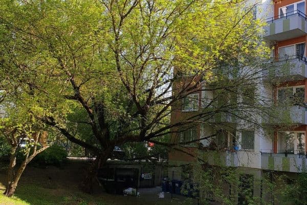 Prodej bytu 3+1 70 m², Berlin, Berlín Prodej bytu 3+1 70 m², Berlin, Berlín