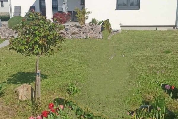 Pronájem domu Pronájem domu