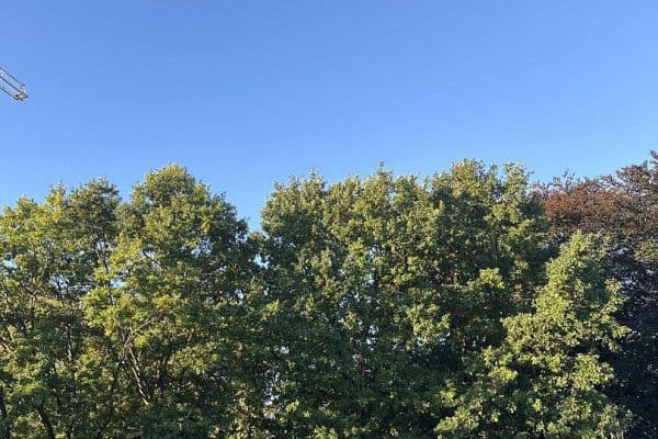 Pronájem bytu 3+1 81 m², Hamburg Pronájem bytu 3+1 81 m², Hamburg