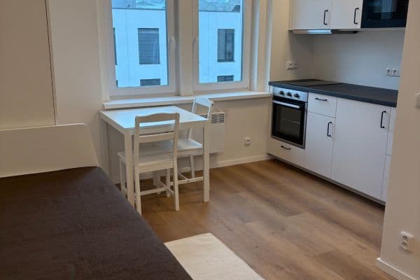 Pronájem bytu 1+kk 19 m², U Tyrše, Praha Pronájem bytu 1+kk 19 m², U Tyrše, Praha