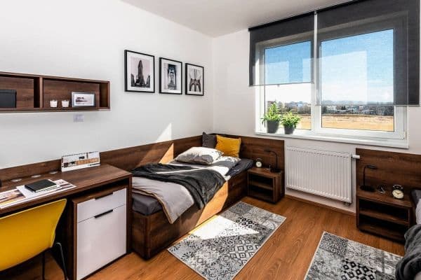 Pronájem bytu 1+kk 27 m², Magisterská, Pronájem bytu 1+kk 27 m², Magisterská,