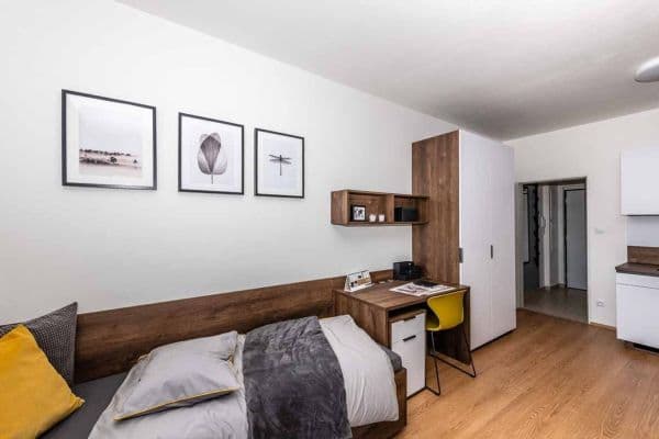 Pronájem bytu 1+kk 28 m², Magisterská, Pronájem bytu 1+kk 28 m², Magisterská,