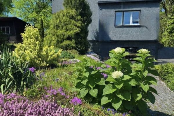 Pronájem chaty, chalupy, Ostravice Pronájem chaty, chalupy, Ostravice