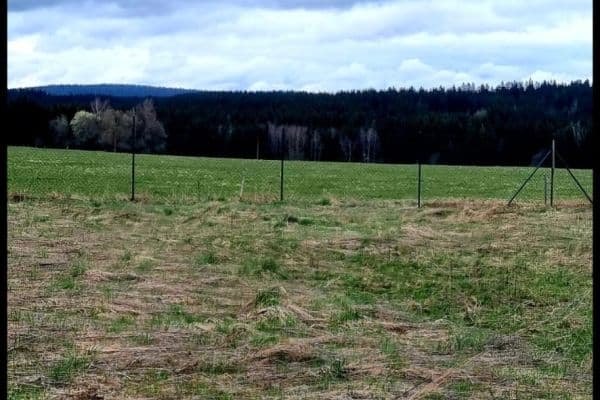 Prodej pozemku 571 m², Zádub-Závišín Prodej pozemku 571 m², Zádub-Závišín