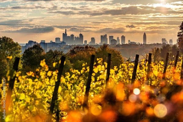 Prodej pozemku 701 m², Lohrberg, Seckbach, Frankfurt am Main Prodej pozemku 701 m², Lohrberg, Seckbach, Frankfurt am Main