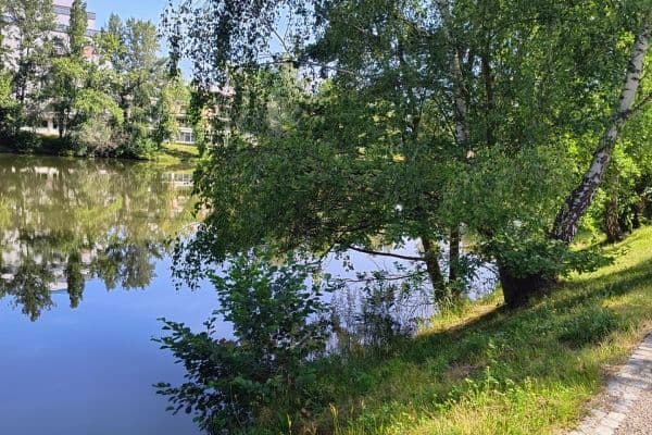 Prodej bytu 4+1 75 m², Mladých, Pardubice Prodej bytu 4+1 75 m², Mladých, Pardubice