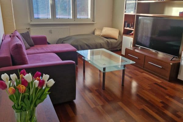 Pronájem bytu 2+1 60 m², Pavlovská, Hlavní město Praha Pronájem bytu 2+1 60 m², Pavlovská, Hlavní město Praha