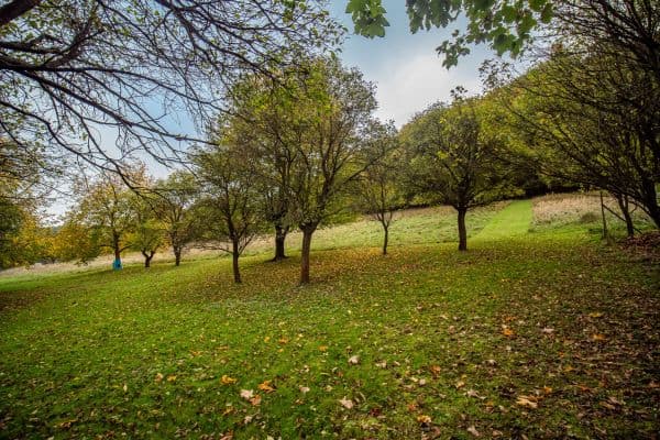 Prodej pozemku 13.313 m², Trnava Prodej pozemku 13.313 m², Trnava