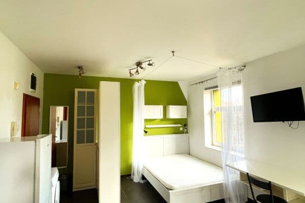 Pronájem bytu 1+kk 30 m², V Olšinách, Hlavní město Praha Pronájem bytu 1+kk 30 m², V Olšinách, Hlavní město Praha