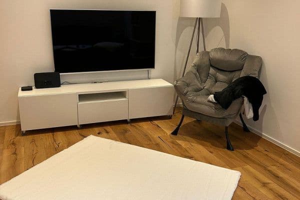 Pronájem bytu 2+1 60 m², Gerhardt Hauptmann Straße 41a, Sinsheim Pronájem bytu 2+1 60 m², Gerhardt Hauptmann Straße 41a, Sinsheim