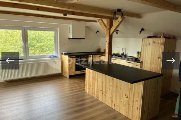 Pronájem bytu 2+kk 65 m², Šroubárenská, České Budějovice Pronájem bytu 2+kk 65 m², Šroubárenská, České Budějovice