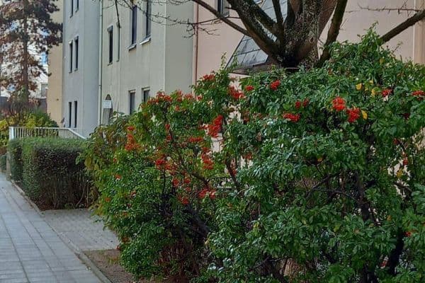 Prodej bytu 2+1 63 m², Nürnberg Prodej bytu 2+1 63 m², Nürnberg