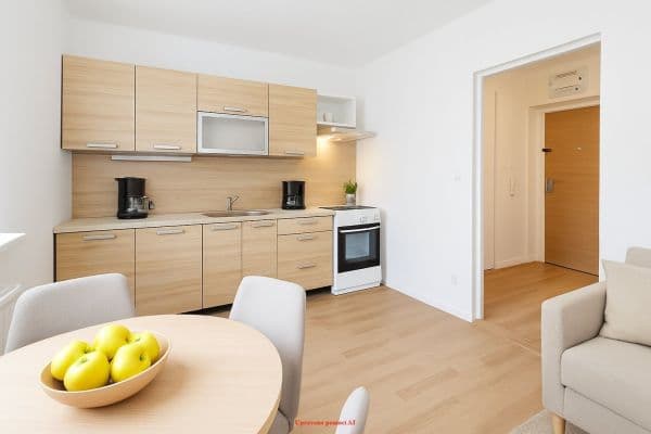Pronájem bytu 1+1 27 m², Opletalova, Pronájem bytu 1+1 27 m², Opletalova,