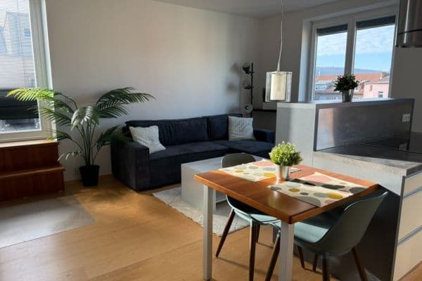 Pronájem bytu 2+kk 69 m², Rybářská, Brno, Jihomoravský kraj Pronájem bytu 2+kk 69 m², Rybářská, Brno, Jihomoravský kraj