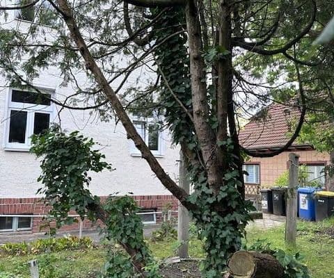 Prodej pozemku 1.069 m², Berlin-Mahlsdorf, Berlín Prodej pozemku 1.069 m², Berlin-Mahlsdorf, Berlín