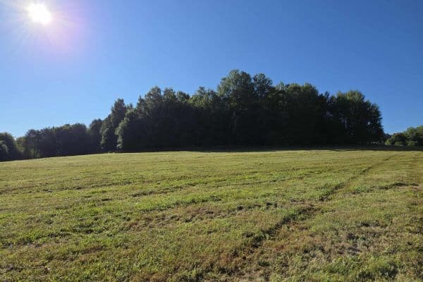 Prodej pozemku Prodej pozemku