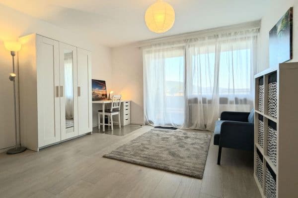 Pronájem bytu 2+1 50 m², Heidelberg Pronájem bytu 2+1 50 m², Heidelberg